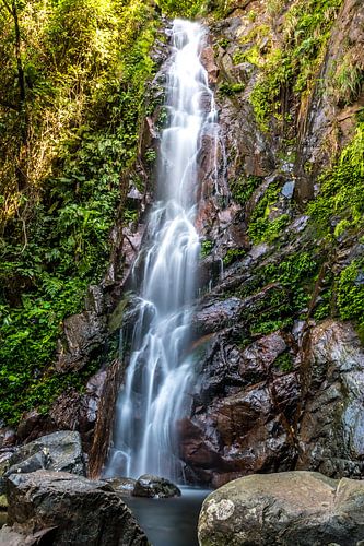Waterfall Hong Kong 