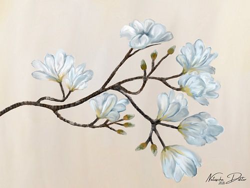 Magnolia Serenity