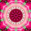 Mandala - Love sur Doris Kroos
