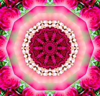 Mandala - Love