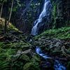 Schwarzwald, Wasserfall, Natur von artevaria.de