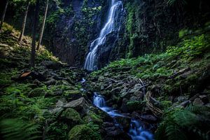 Zwarte Woud, waterval, natuur
