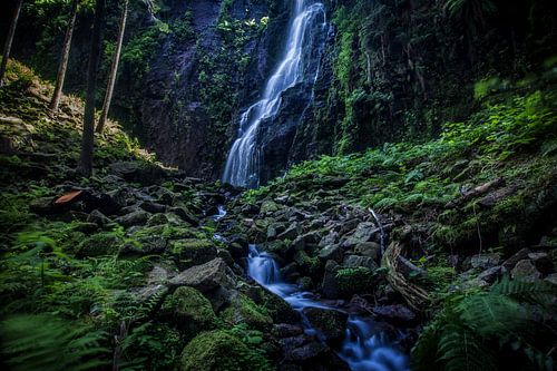 Zwarte Woud, waterval, natuur