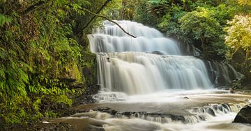Parakaunui Falls, Nieuw-Zeeland van Markus Lange