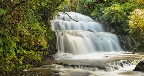 Parakaunui Falls, New Zealand