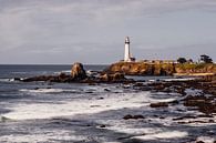 Pigeon point lighthouse van Jasper Verolme thumbnail