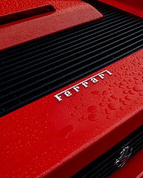 Ferrari Testarossa in de regen van Wessel Dijkstra
