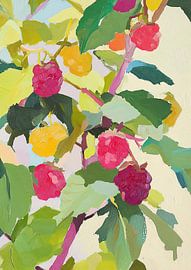 Himbeeren von Niklas Maximilian