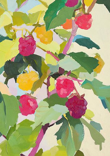 Raspberries by Niklas Maximilian