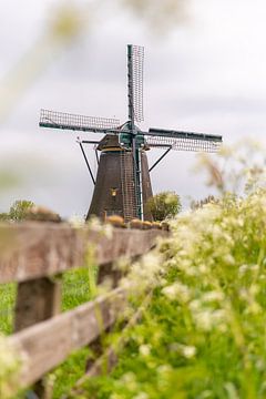Mühle Lisserpoel von Yanuschka Fotografie | Noordwijk