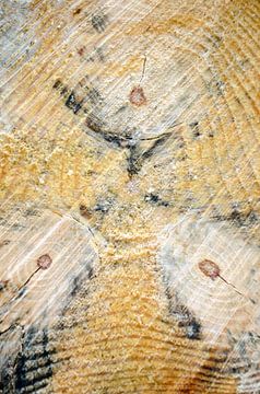Nature's Paintings - Tree Wood Close Up 1 van Nicole Schyns
