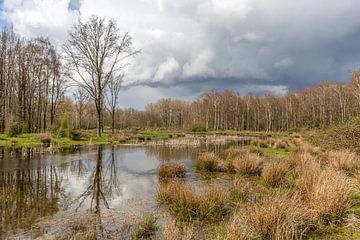 Een riviertje slingert door het landschap van Mark van Harlingen