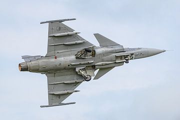 Saab Gripen of the Czech Air Force. by Jaap van den Berg