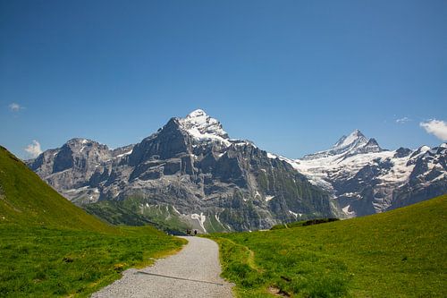 Grindelwald eerst met Wetterhorn