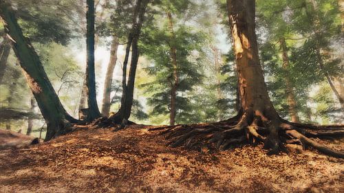 Roots of the Lombok Forest