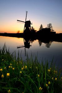 Poldermolen in de lente van Mark Leeman