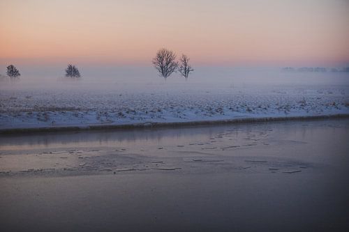 Paysage de neige brumeuse dans le polder néerlandais (Leiderdorp)
