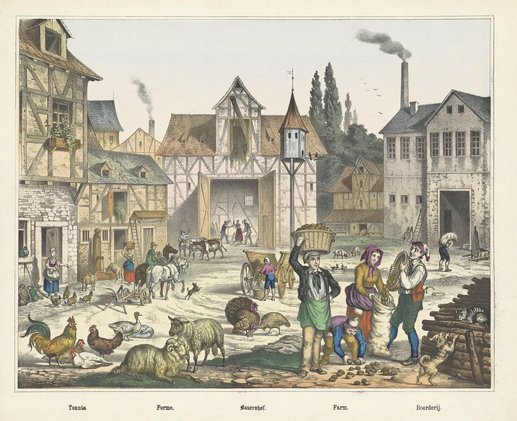 Tenuta. / Ferme. / Bauernhof. / Farm. / Farm, firm Joseph Scholz, 1829 - 1880_2 by Gave Meesters