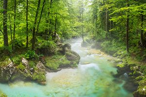 Vallée de la Bluntautal sur Rainer Mirau