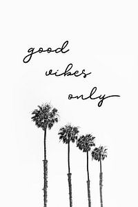 Sommeridylle mit Palmen | good vibes only