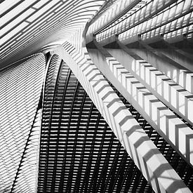 Station Luik-Guillemins / Gare de Liège van Jo Miseré