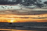 Zonsondergang aan de Belgische kust