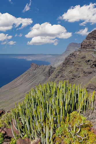 Een zomerse dag aan de westkust van Gran Canaria