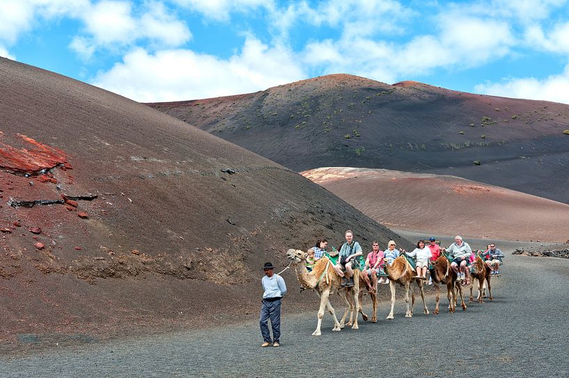 Camel caravan with tourists in Lanzarote island. Spain. van Carlos Charlez