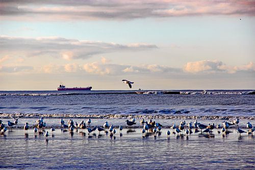 Katwijk aan zee series - Bateau à l'horizon