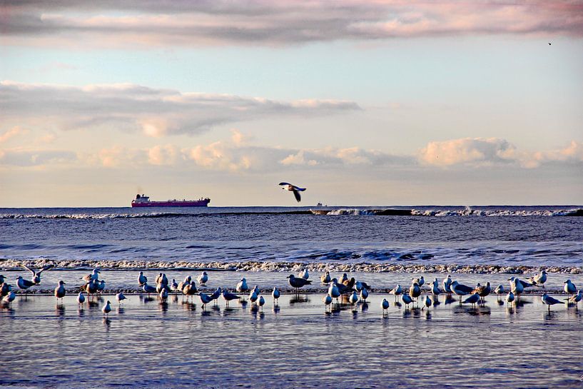 Katwijk aan zee series - Ship on the horizon by Wilma Overwijn