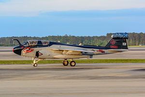Sonderfarbgebung der Grumman EA-6B Prowler.