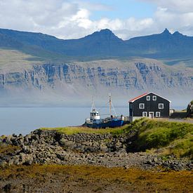 Boat Iceland by Wouter Moné