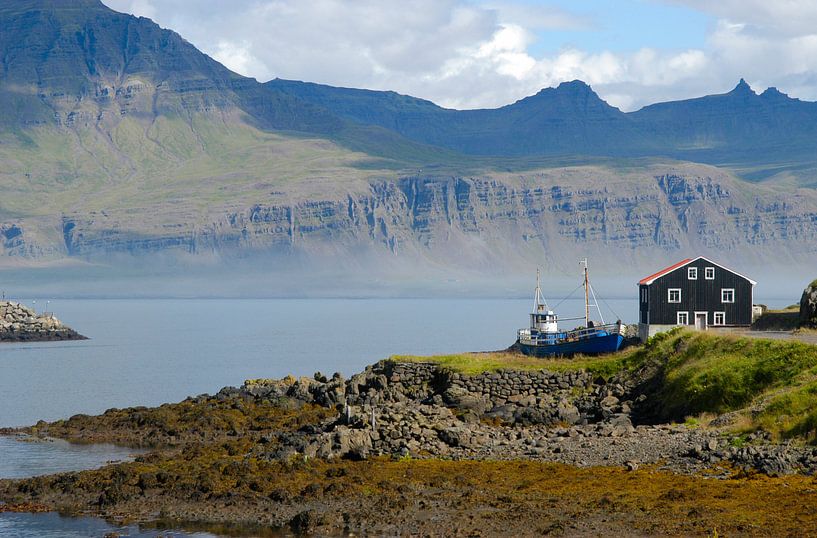 Boot in IJsland van Wouter Moné
