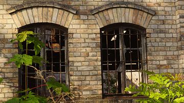 Ruin of the storage building of the Boellberg mill complex in Halle in Germany von Babetts Bildergalerie