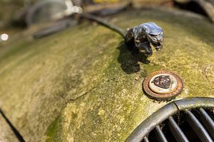Capot de Jaguar avec ornement, Urbex
