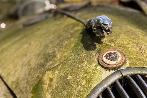 Jaguar motorkap met ornament, Urbex