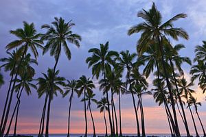 Palms at Sunset at Pu'uhonua o Hōnaunau, Hawaii sur Henk Meijer Photography