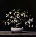 Bonsai mit wilder Tulpe von Harmannus Sijbring Miniaturansicht