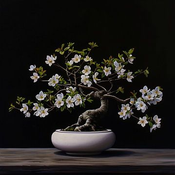 Bonsai mit wilder Tulpe von Harmannus Sijbring