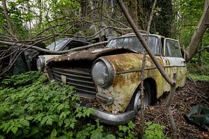 Roestige Peugeot