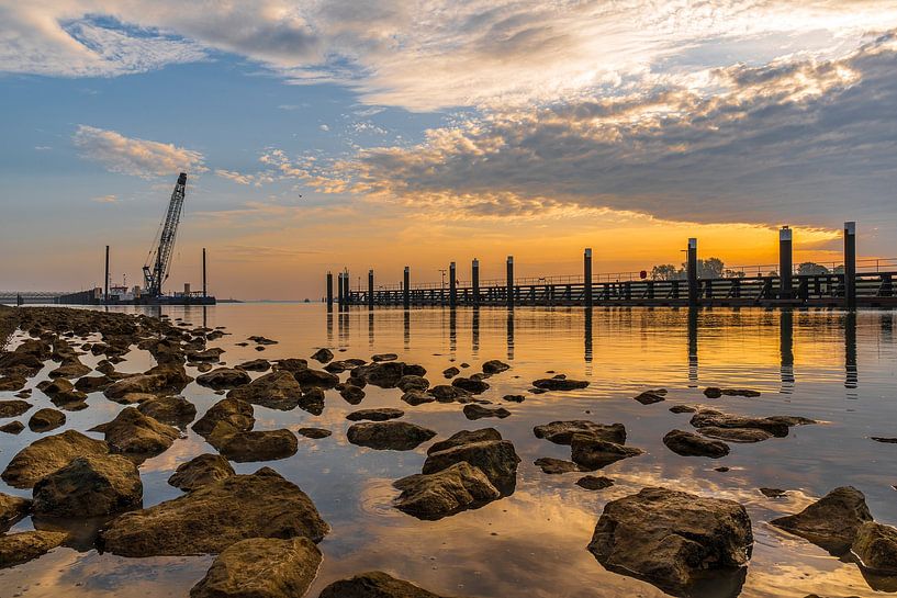 Immobile par Ria Overbeeke