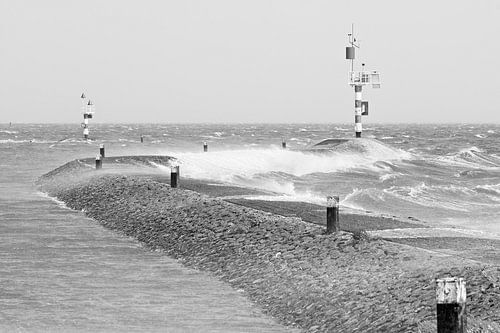 Mer des Wadden rugueuse