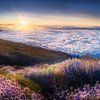 Landschaft über den Wolken von Teneriffa zum Sonnenuntergang. von Voss Fine Art Fotografie