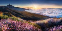 Landscape above the clouds of Tenerife at sunset. by Voss Fine Art Fotografie thumbnail