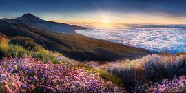 Landschaft über den Wolken von Teneriffa zum Sonnenuntergang.