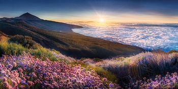 Landscape above the clouds of Tenerife at sunset.