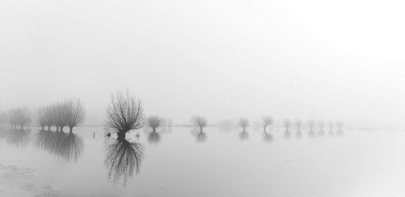 Extremes in the fog by gelske kwikkel