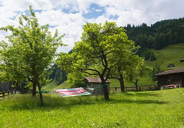 Wegdromen in Oostenrijk