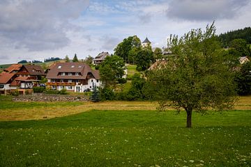 Village in the Black Forest by Steven Van Aerschot