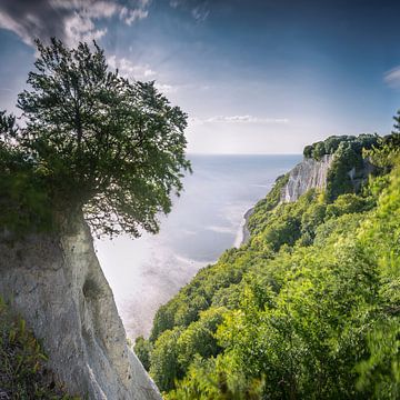 Krijtrotsen op Rügen in het zonlicht van Voss Fine Art Fotografie